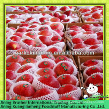 100-125pcs huaniu apple